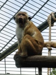 Berlin-104.jpg