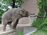Berlin-119.jpg