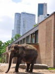 Berlin-128.jpg