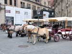 Dresden-70.jpg