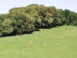Munich-122.jpg