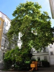 Vienna-45.jpg