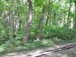 Vienna-115.jpg