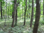 Vienna-117.jpg