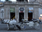 Vienna-135.jpg
