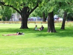 Vienna-245.jpg