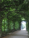 Vienna-261.jpg