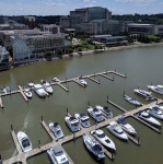 The Harbor