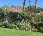 The Hills