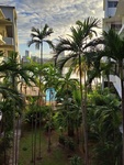 Tropical