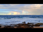 The Surf
