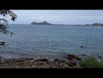 Rodney Bay Live
