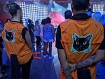 Cat's Meow