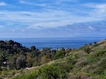 Laguna
