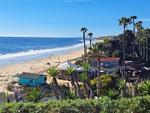 The Cove