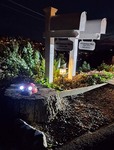 Night Light