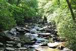 Creekside