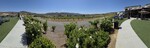 Temecula- 024