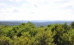 Scenic View