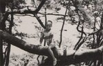 Japan 27