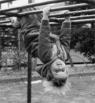 Monkey-Like