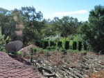 Sonoma-011b.jpg