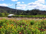 Sonoma-053.jpg