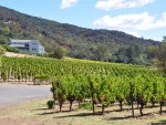 Sonoma-054.jpg