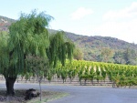 Sonoma-058.jpg