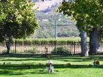 Sonoma-Wedding-Post-007.jpg