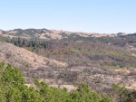 Sonoma-Wedding-Post-011.jpg